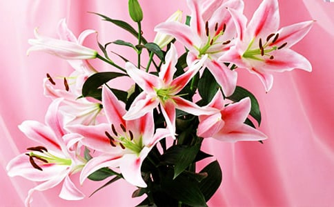 《百合花》教学设计