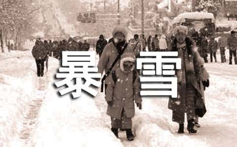 暴雪应急预案