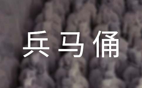 《秦始皇陵兵马俑》教学反思4篇