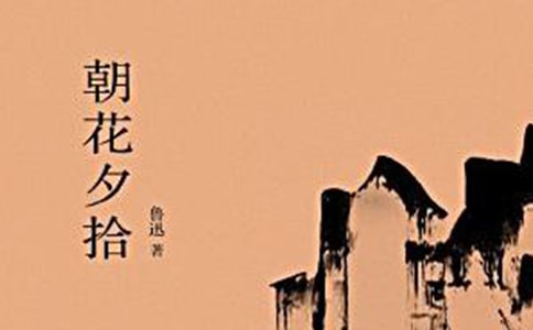 朝花夕拾高一学生作文