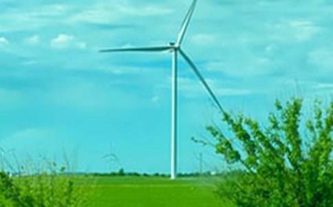 ����Сѧ����ͨ��15ƪ