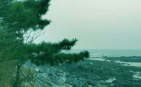 ����Сѧ����