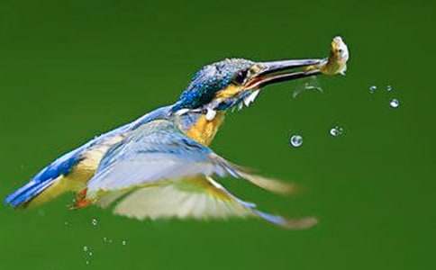 ���ڴ���̰����ܾ�ƪ