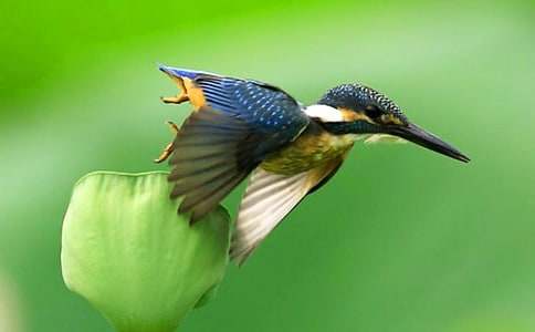 ����̰�����8ƪ