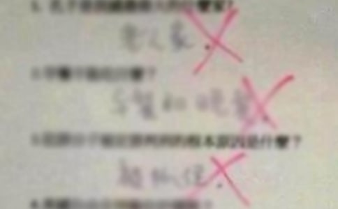 在错误中成长小学作文