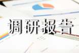 小学调研报告通用