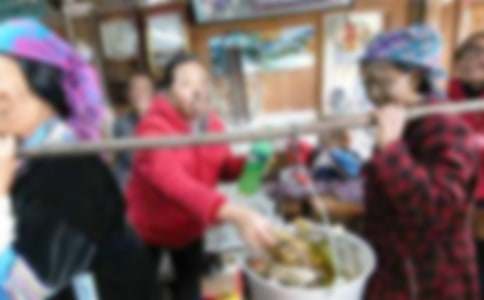 ��ʵ�á�����Сѧ������ƪ