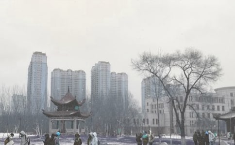 抗暴风雪应急预案(精选22篇)