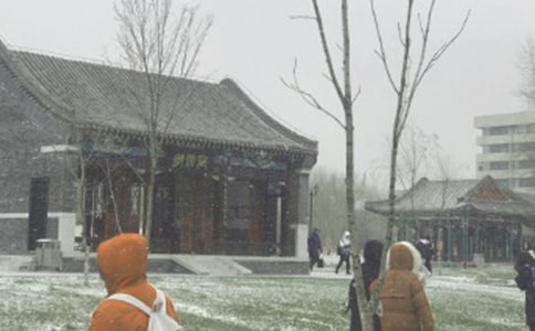 防风雪防寒应急预案