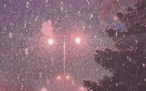 冬季暴风雪的应急预案(通用14篇)
