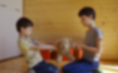 我的哥哥写人作文13篇