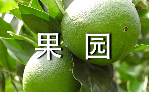 《果园机器人》课文教学设计范文