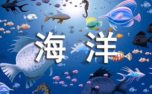 参观海洋馆的小学生叙事作文