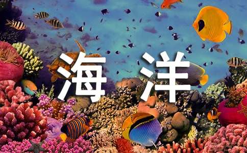 美丽的海洋作文整理_写景作文