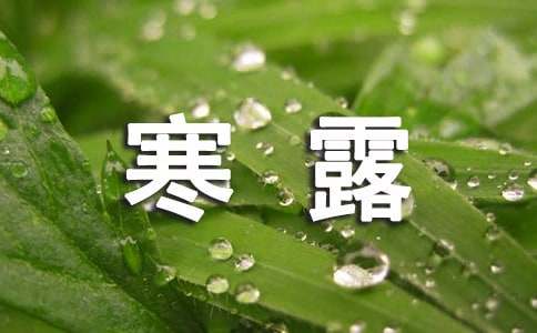 2026�꺮¶�����ʺ���29��