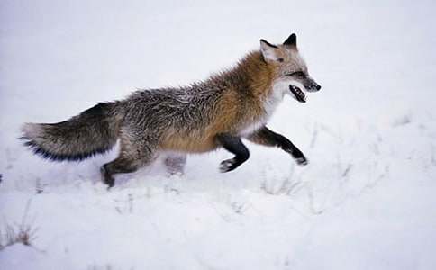 ����������ʿν̰����������ѻ��