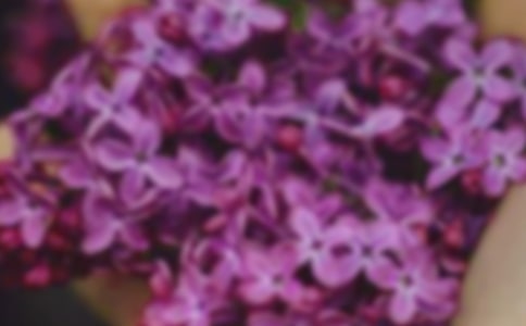 小班美术美丽的花朵教案