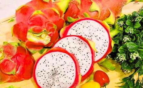 ������Сѧ����(15ƪ)