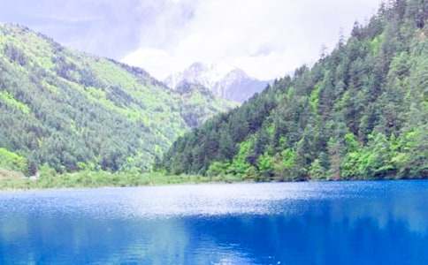 ����ľ�կ������