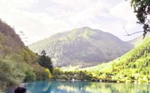 游九寨沟小学作文4篇