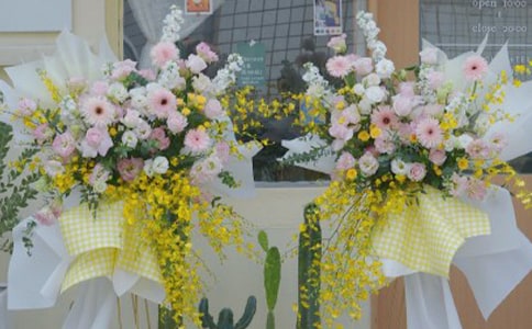 �µ꿪��ף����8����