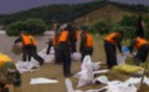 ��������ĵ����