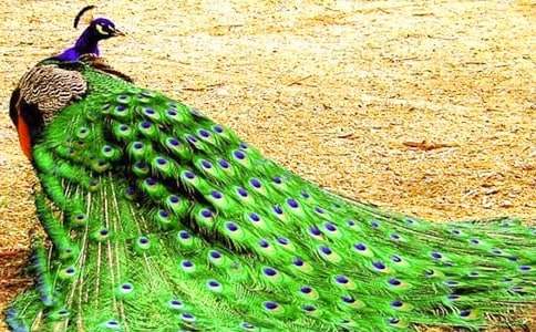 ��ȸ��Сѧ����400��9ƪ