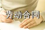劳动合同范本模板