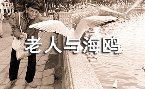 老人与海鸥教学设计(精选3篇)