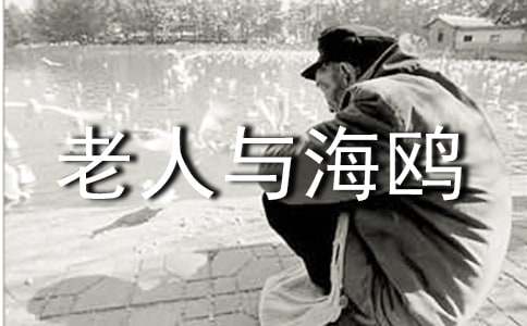 老人与海鸥语文教学设计方案模板