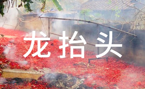二月二龙抬头幽默祝福语420句