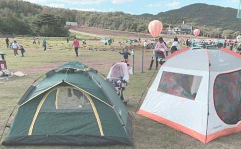 �й�¶ӪСѧ������ƪ