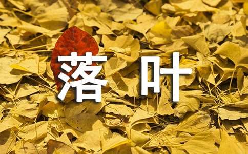 落叶散文中班教案(精选13篇)