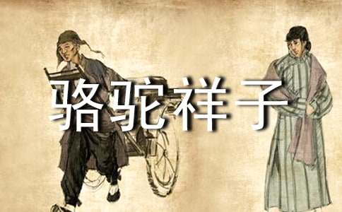 读《骆驼祥子》心得体会(13篇)