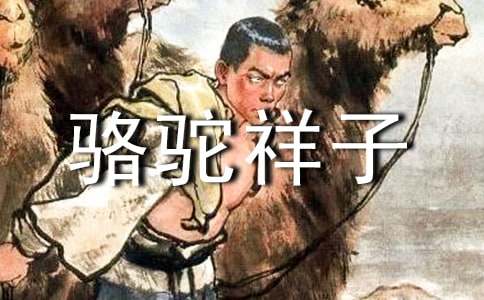 《骆驼祥子》读后心得体会(8篇)