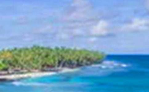 ��ʵ�á��������Сѧ����3ƪ