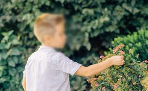 С���������̰�����˼�������к���