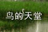 鸟的天堂解说词11篇