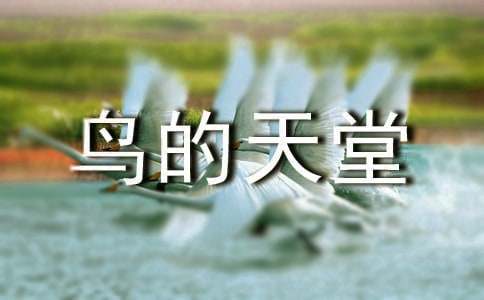 有关鸟的天堂教案集合6篇