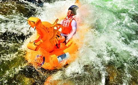 ����Ư����Сѧ����