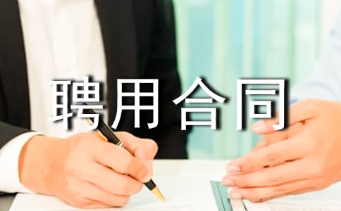 技术专家聘用合同范本