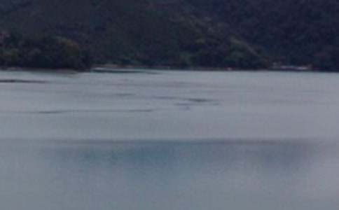 ������̶���̰�(��ѡ15ƪ)