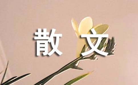 想证明什么散文
