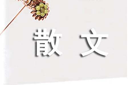 不做选择题只做证明题-生活散文