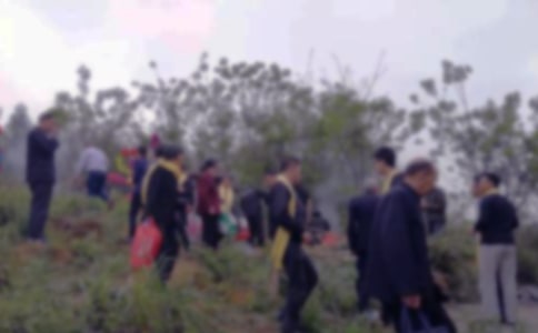 扫墓活动方案