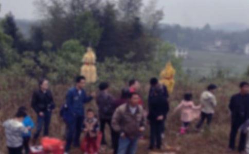 扫墓活动感受初中优秀作文
