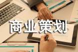 (精华)商业策划