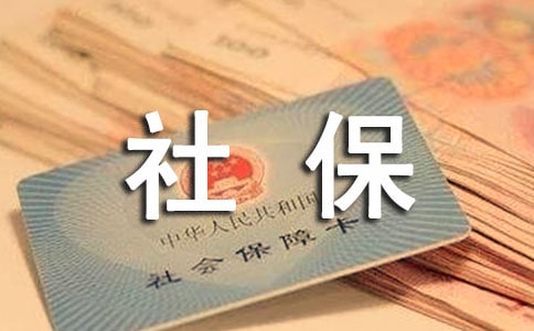 公司社保报告