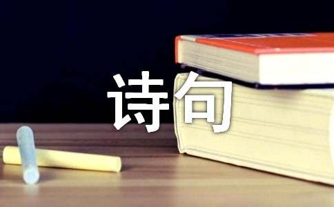 思念的诗句说说心情