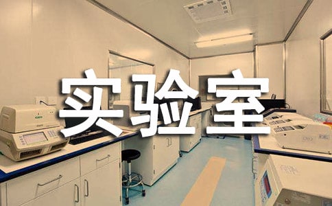 小学实验室工作总结15篇